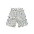 Abominable Flame Shorts Grey/Blue